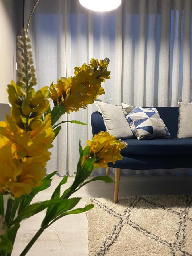 Alma Rose Apartment Κορυτσά Εξωτερικό φωτογραφία