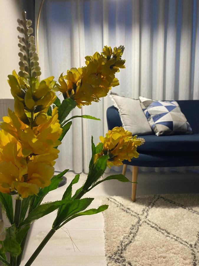 Alma Rose Apartment Κορυτσά Εξωτερικό φωτογραφία