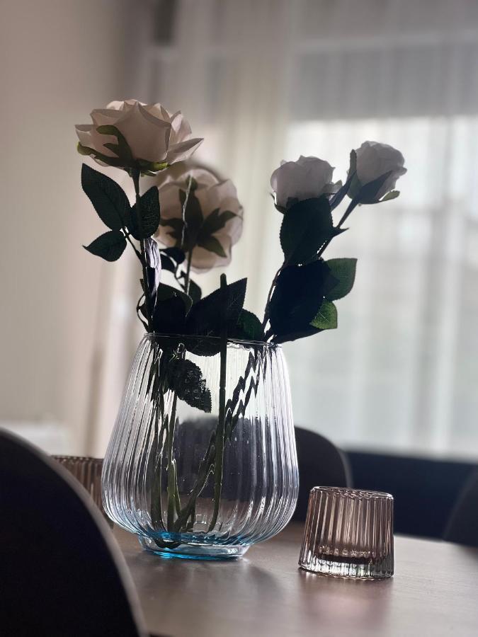 Alma Rose Apartment Κορυτσά Εξωτερικό φωτογραφία