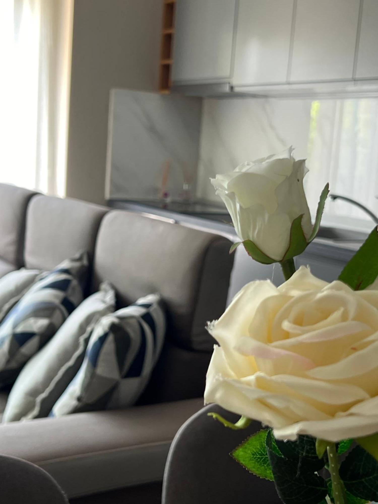 Alma Rose Apartment Κορυτσά Εξωτερικό φωτογραφία